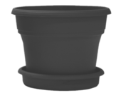 Thumbnail for Tassimo Plant Pot